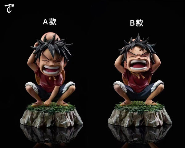 CT Studio - Monkey D Luffy Crying [Version A / Version B]