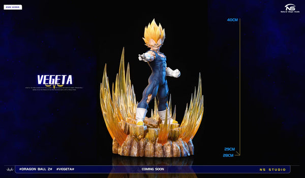 Natural Shape Studio - Majin Vegeta