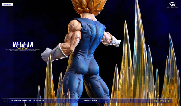 Natural Shape Studio - Majin Vegeta