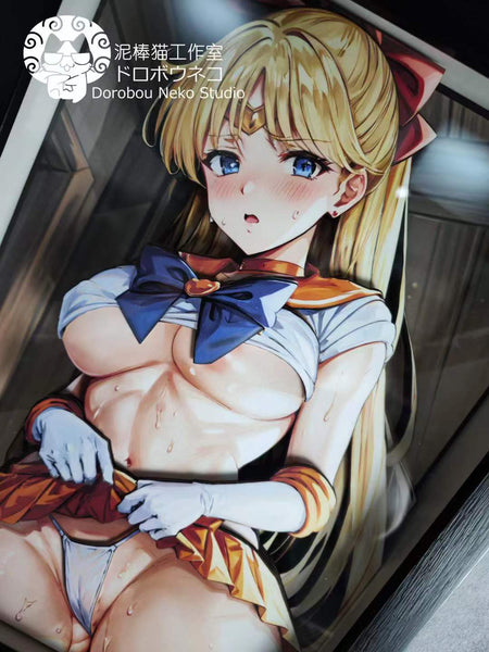 Dorobou Neko Studio - Aino Minako 3D Cast Off Poster Frame [DSMG-029]