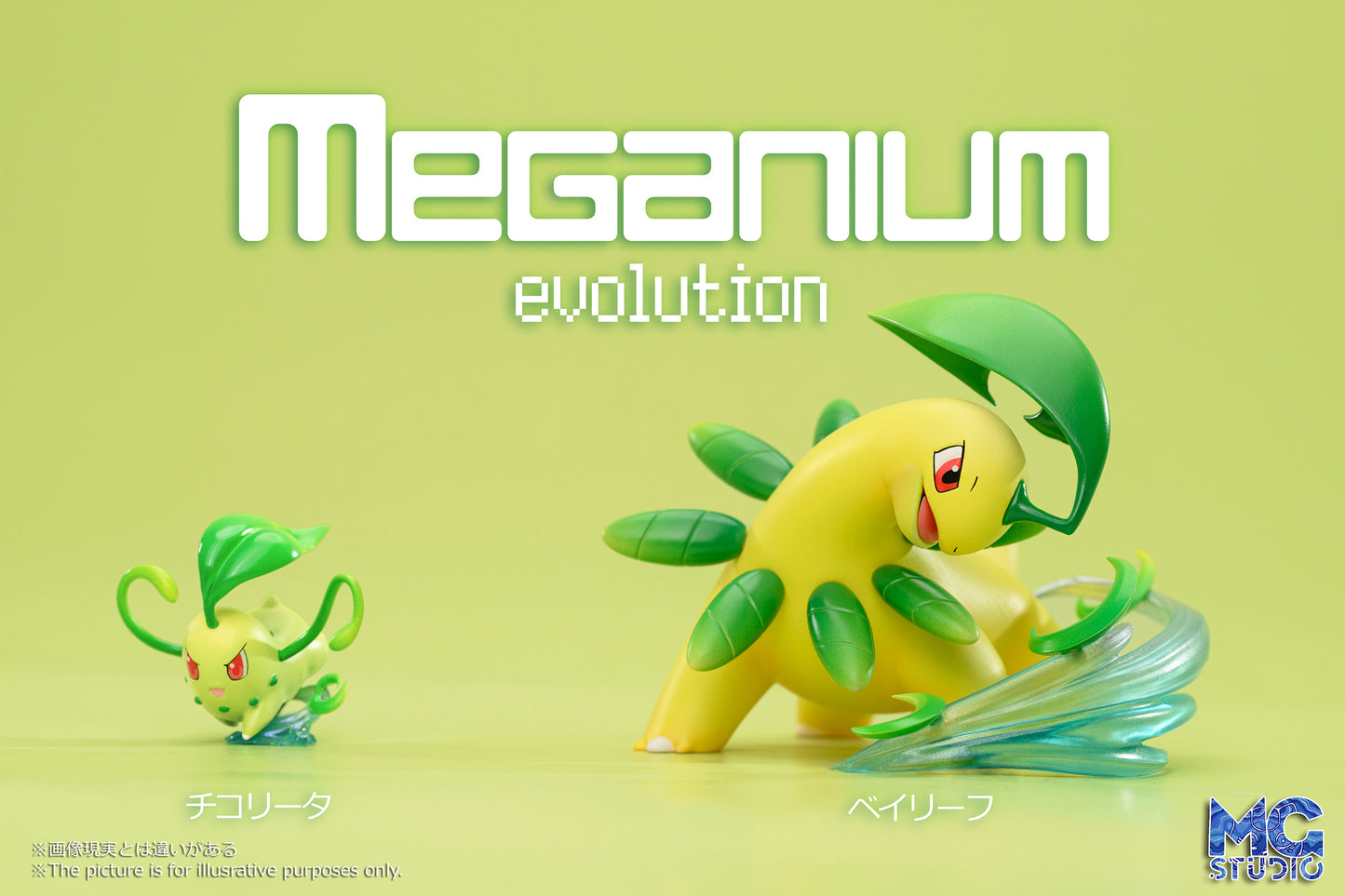 MG Studio - Meganium Family [2 Variants]