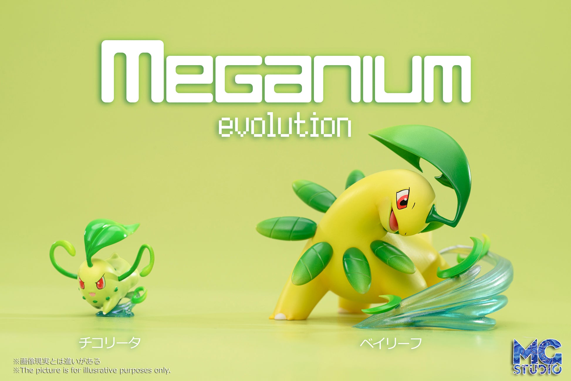 MG Studio - Meganium Family [2 Variants]