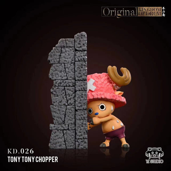 Yz Studio - First Met Tony Tony Chopper