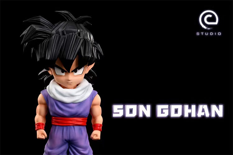 C Studio - Son Gohan