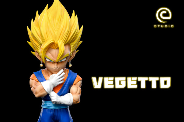 C Studio - Vegetto