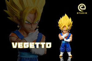 C Studio - Vegetto