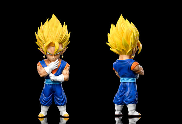 C Studio - Vegetto