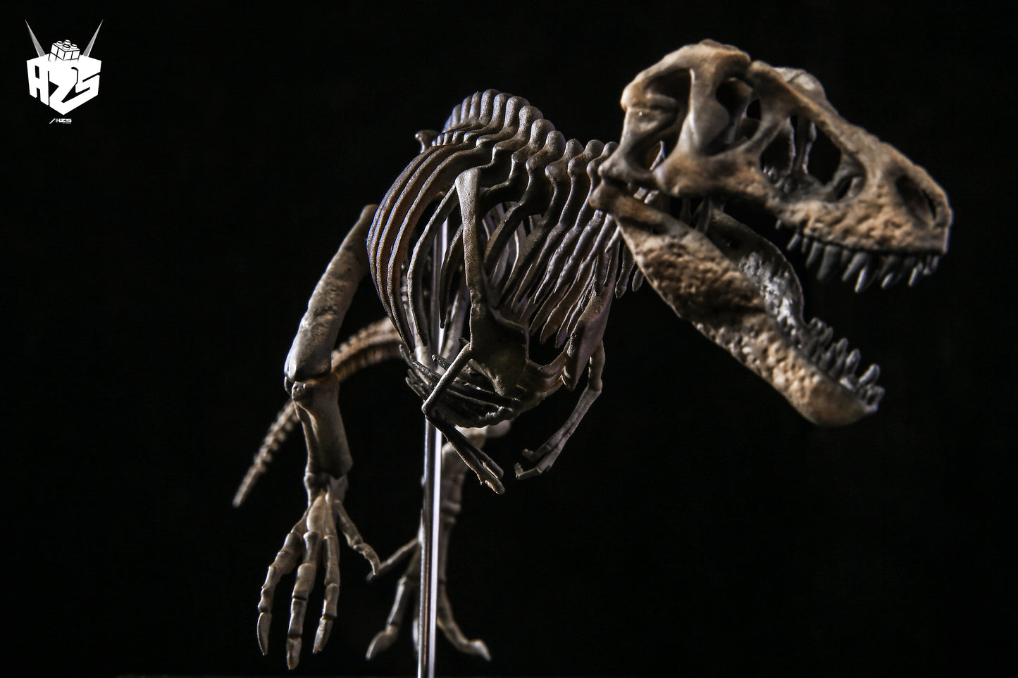 He Zuo She Studio / HSZ Studio - Tyrannosaurus Rex Skeleton
