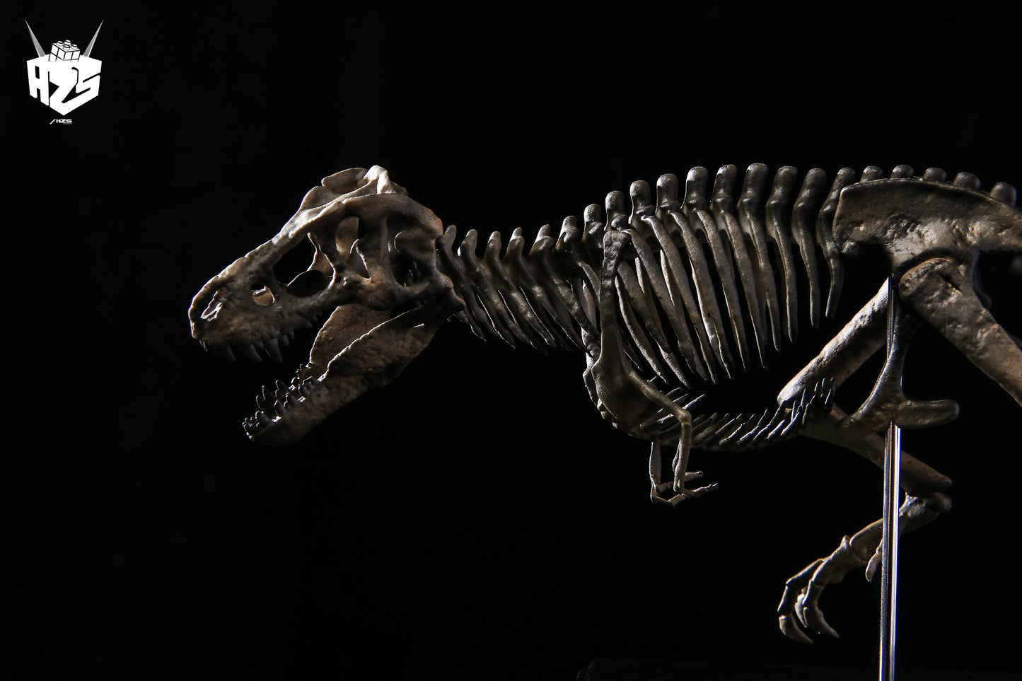 He Zuo She Studio / HSZ Studio - Tyrannosaurus Rex Skeleton