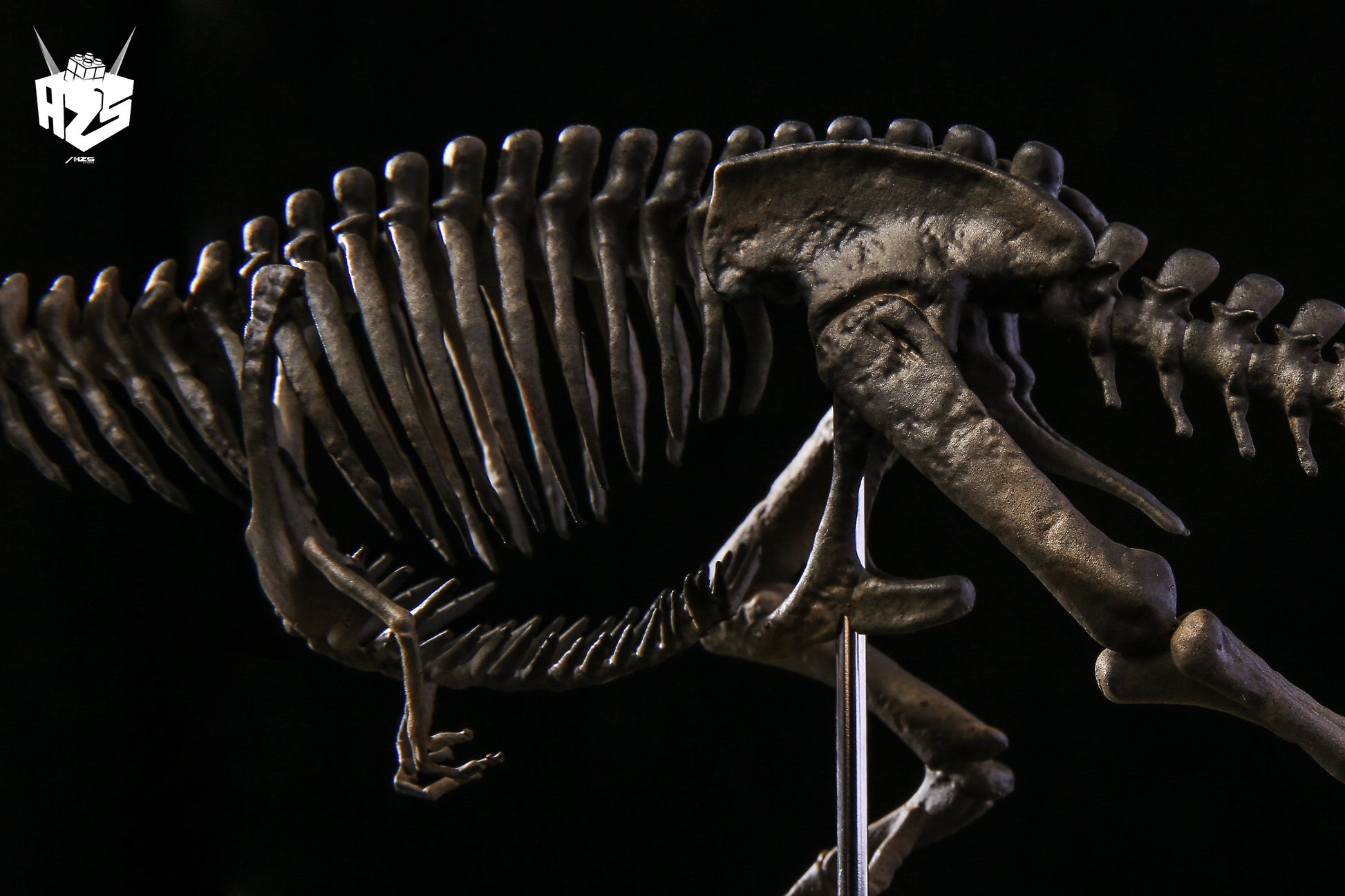 He Zuo She Studio / HSZ Studio - Tyrannosaurus Rex Skeleton