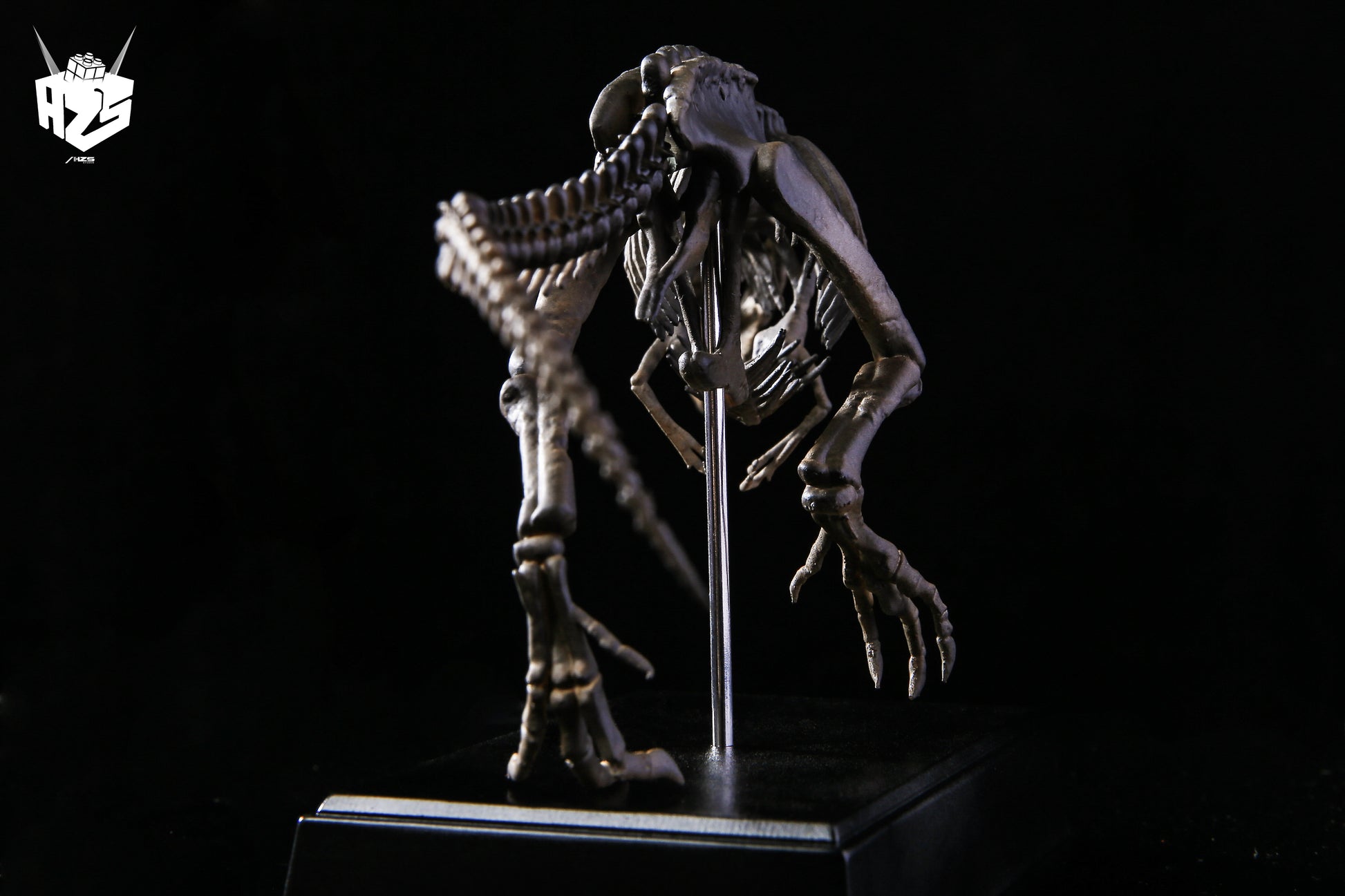 He Zuo She Studio / HSZ Studio - Tyrannosaurus Rex Skeleton
