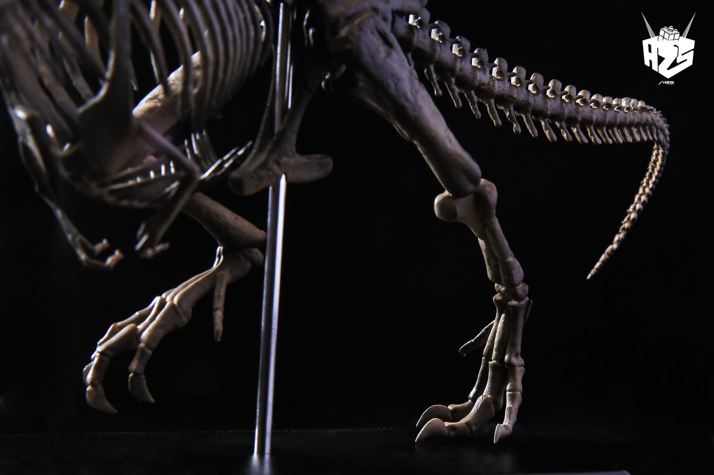 He Zuo She Studio / HSZ Studio - Tyrannosaurus Rex Skeleton
