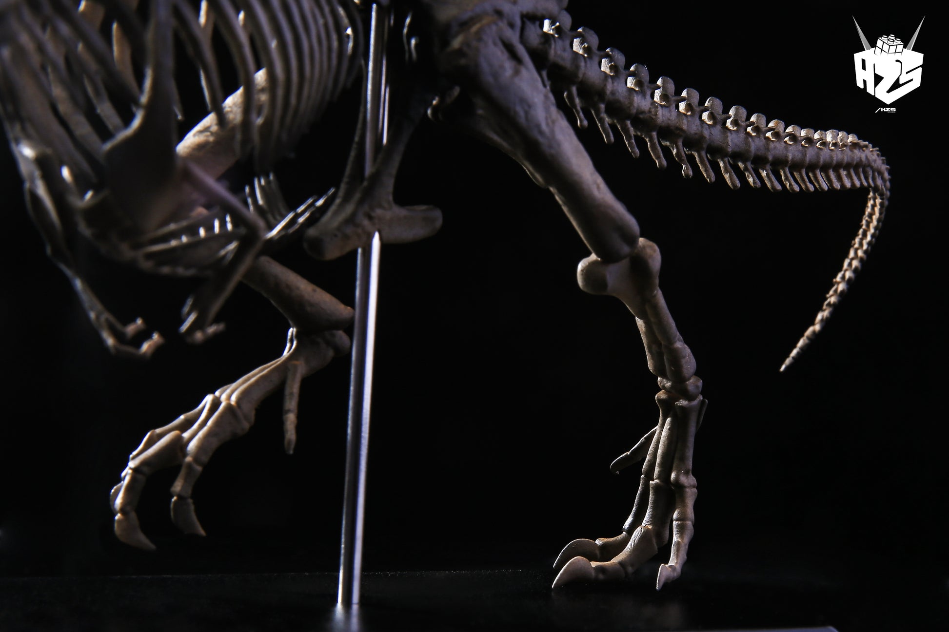 He Zuo She Studio / HSZ Studio - Tyrannosaurus Rex Skeleton