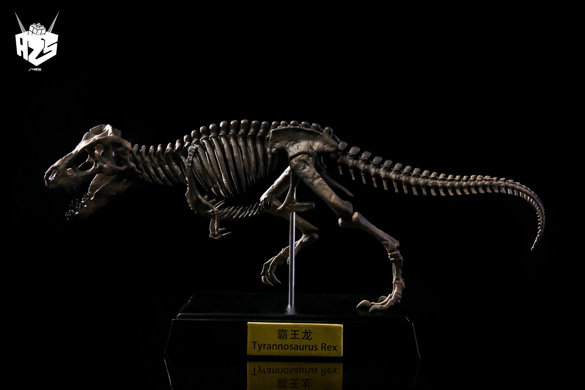 He Zuo She Studio / HSZ Studio - Tyrannosaurus Rex Skeleton