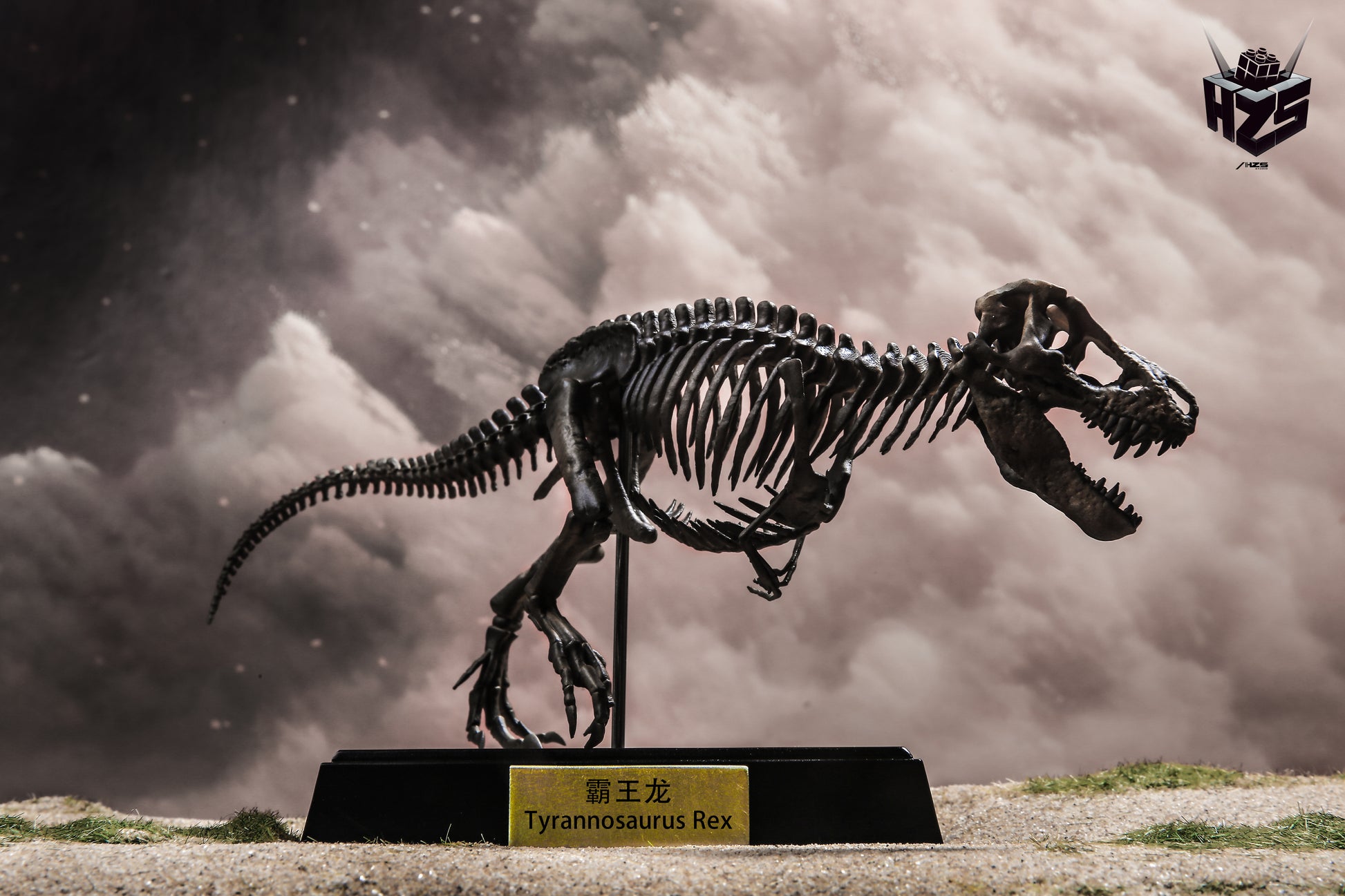 He Zuo She Studio / HSZ Studio - Tyrannosaurus Rex Skeleton