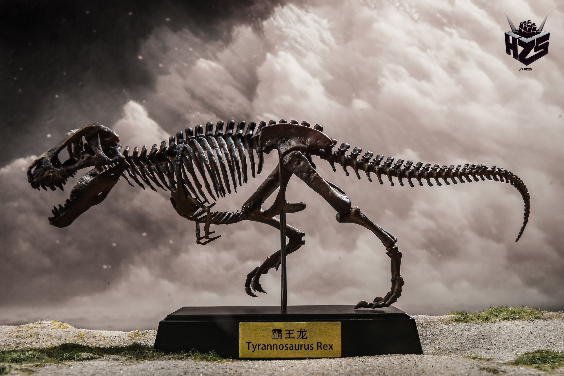 He Zuo She Studio / HSZ Studio - Tyrannosaurus Rex Skeleton