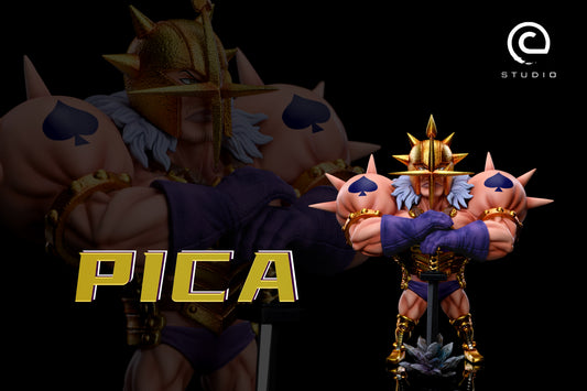 C Studio - Pica