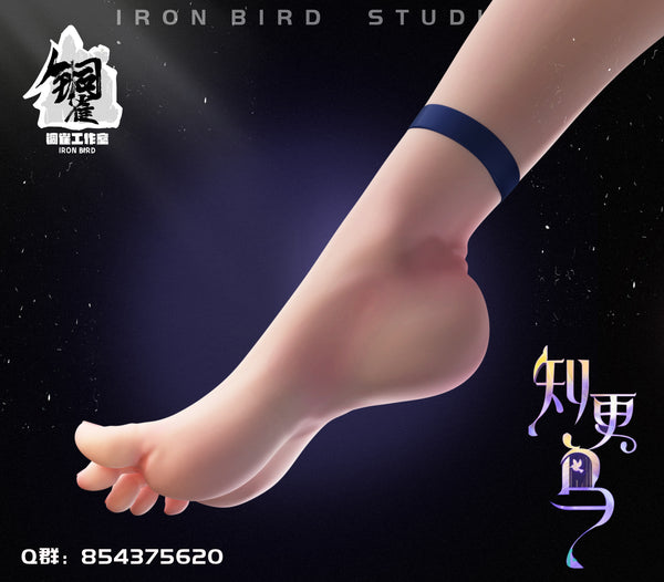 Iron Bird Studio - Singer Robin [5 Variants]