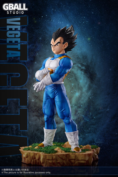 GBALL Studio - Vegeta [4 Variants]