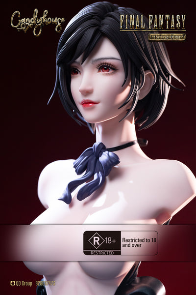 Candy House Studio - Tifa Lockhart Bust [Cast Off]