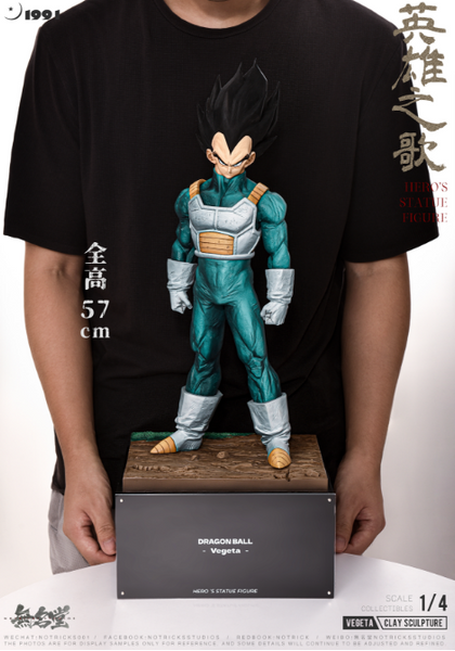 NOTRICKS Studio - The Song of Hero Vegeta [2 Variants]