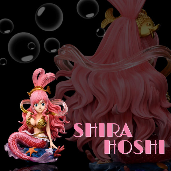 A+ Institute - Princess Shirahoshi