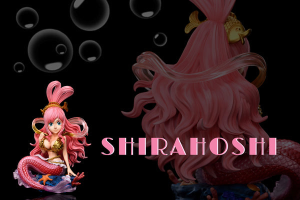 A+ Institute - Princess Shirahoshi