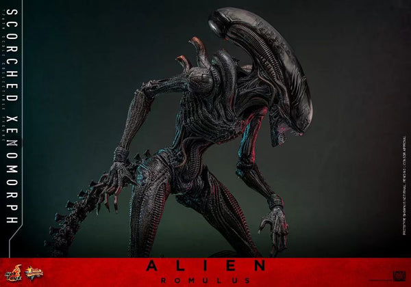 Hot Toys - Alien [MMS784]