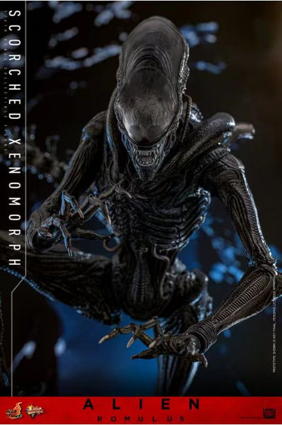 Hot Toys - Alien [MMS784]