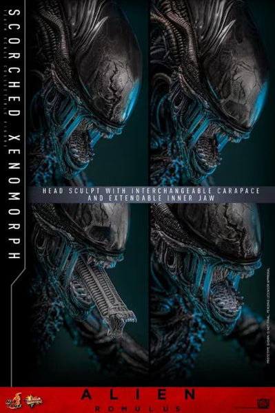 Hot Toys - Alien [MMS784]