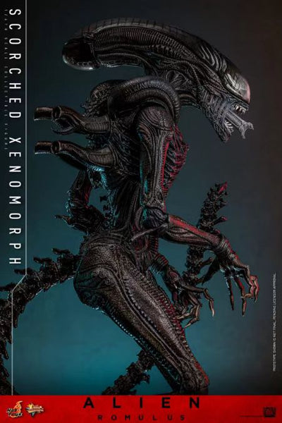 Hot Toys - Alien [MMS784]