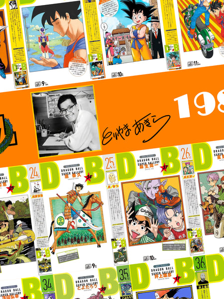 Xing Kong Studio - Dragon Ball 40th Anniversary Special Poster Frame