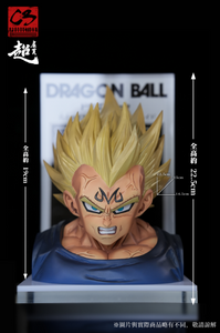 C3 Studio - Vegeta Bust