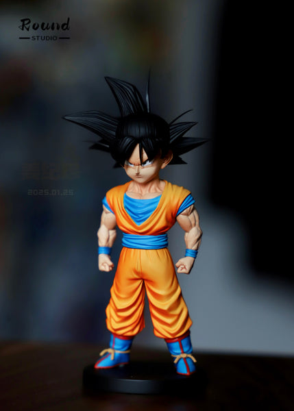 Round Studio - Super Saiyan 1 Son Goku / Son Gohan