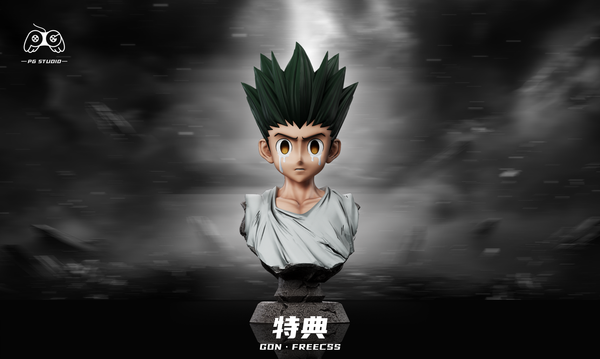 PG Studio - Gon Freecss