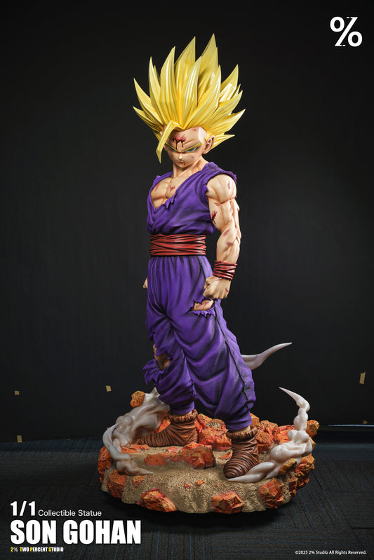 2％ Studio - Super Saiyan 2 Son Gohan