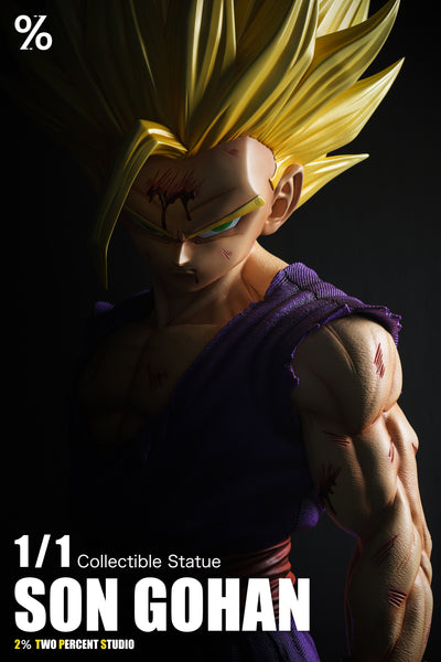 2％ Studio - Super Saiyan 2 Son Gohan