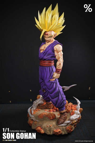 2％ Studio - Super Saiyan 2 Son Gohan