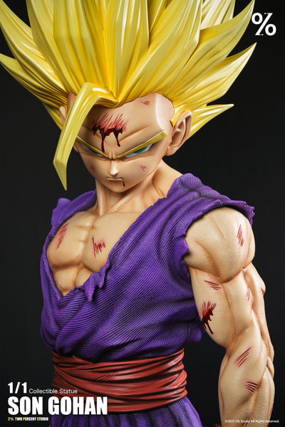 2％ Studio - Super Saiyan 2 Son Gohan