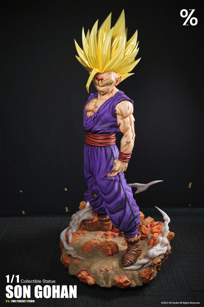 2％ Studio - Super Saiyan 2 Son Gohan