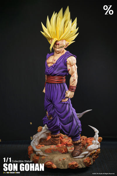 2％ Studio - Super Saiyan 2 Son Gohan