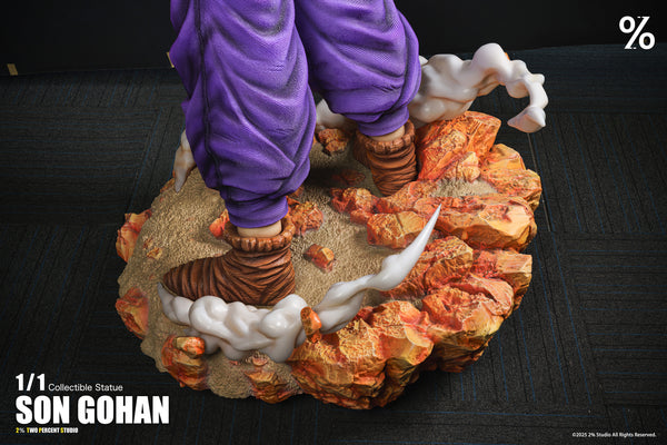 2％ Studio - Super Saiyan 2 Son Gohan