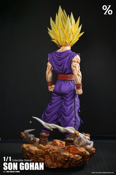 2％ Studio - Super Saiyan 2 Son Gohan