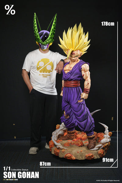 2％ Studio - Super Saiyan 2 Son Gohan