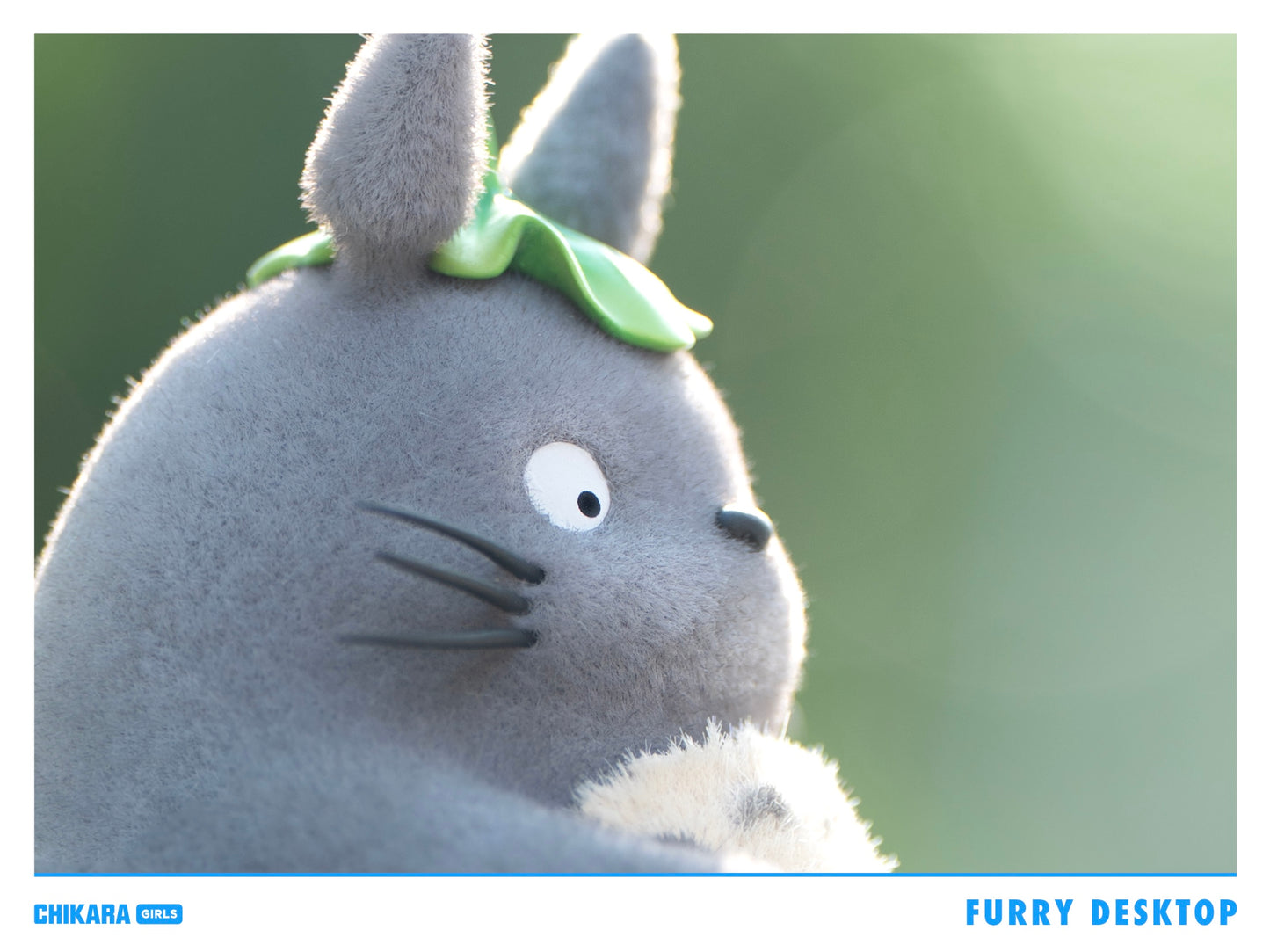 CHIKARA Studio - Fishing Totoro