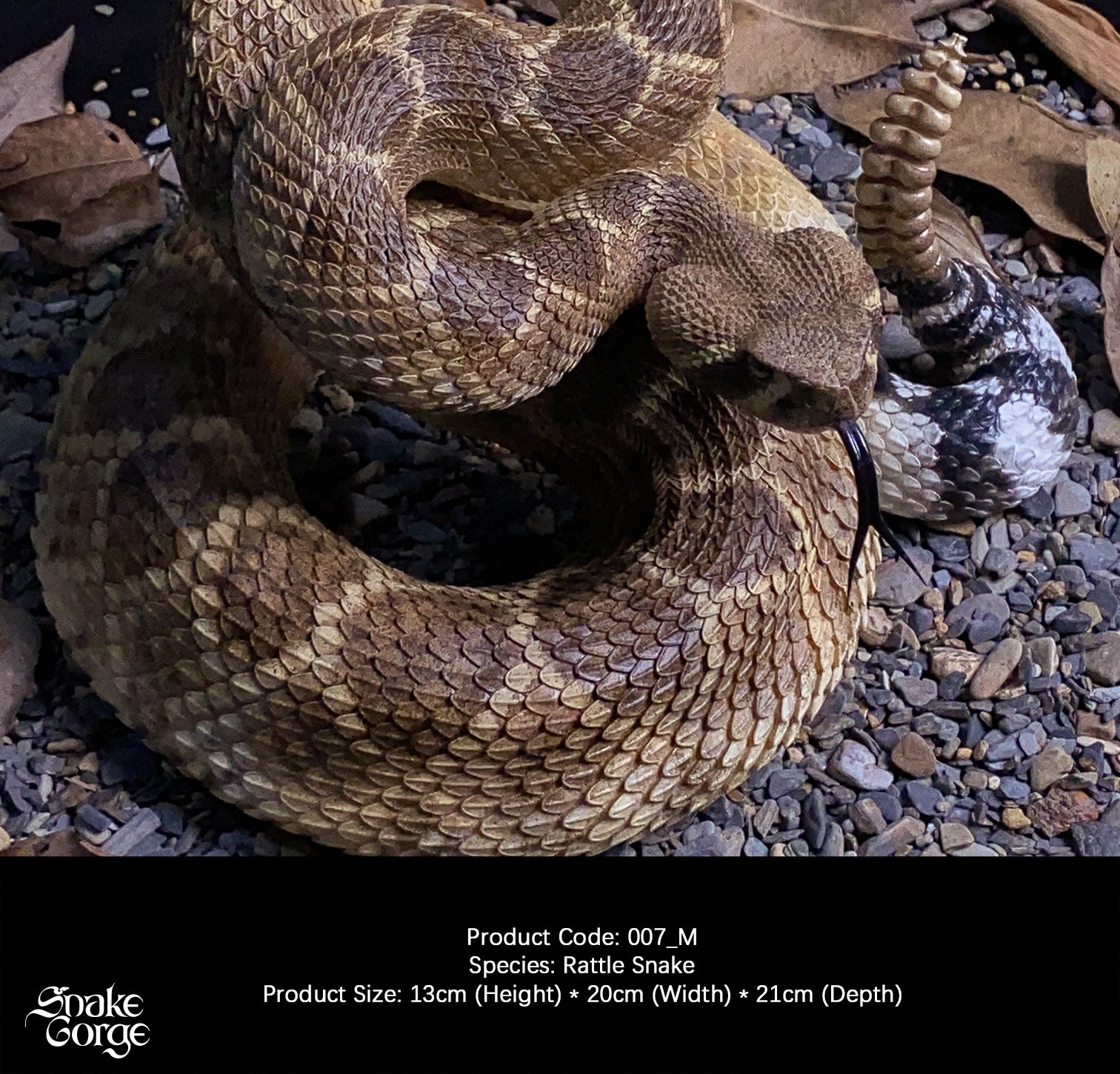 Snakegorge - Western Diamondback Rattlesnake 007_M
