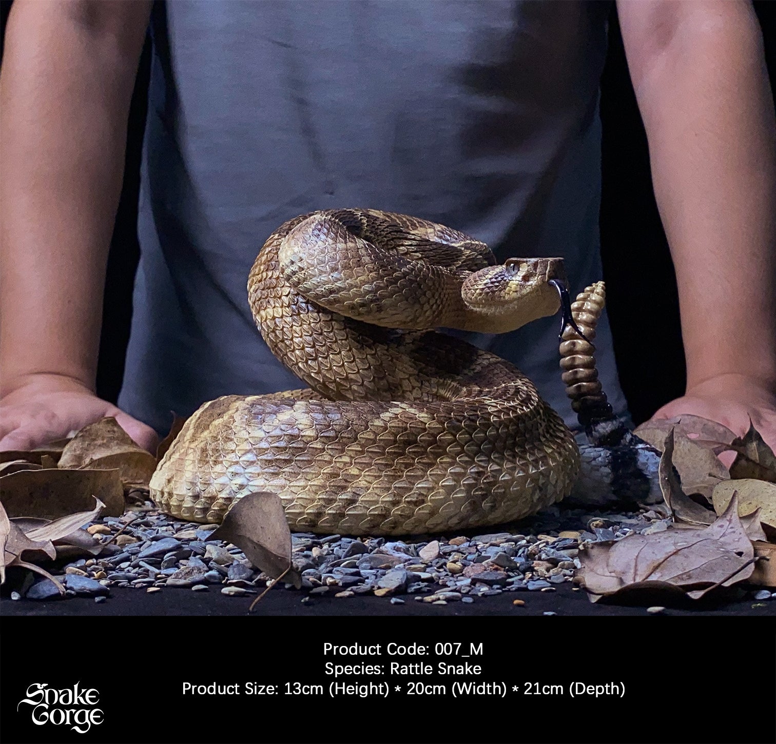 Snakegorge - Western Diamondback Rattlesnake 007_M