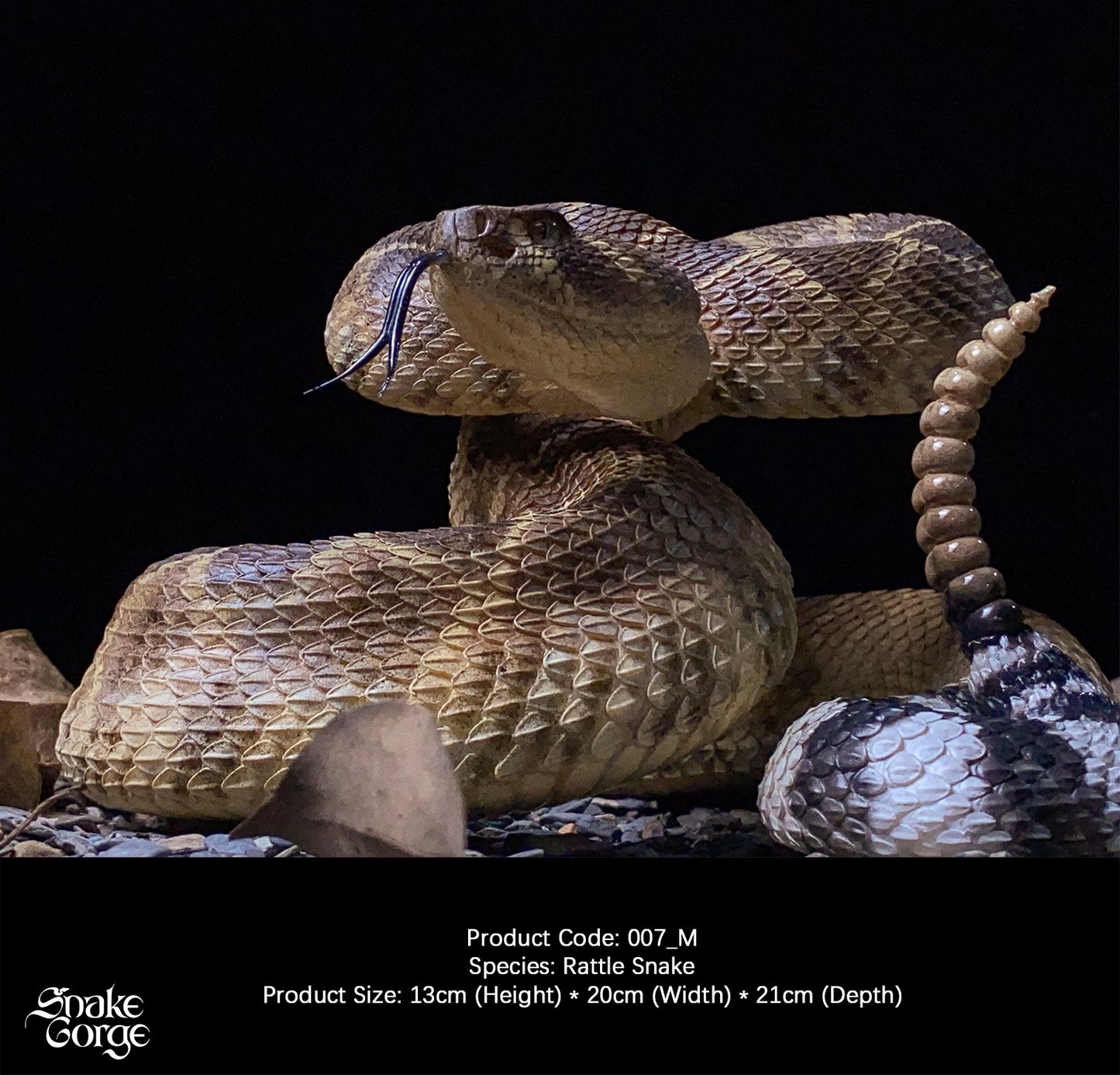 Snakegorge - Western Diamondback Rattlesnake 007_M