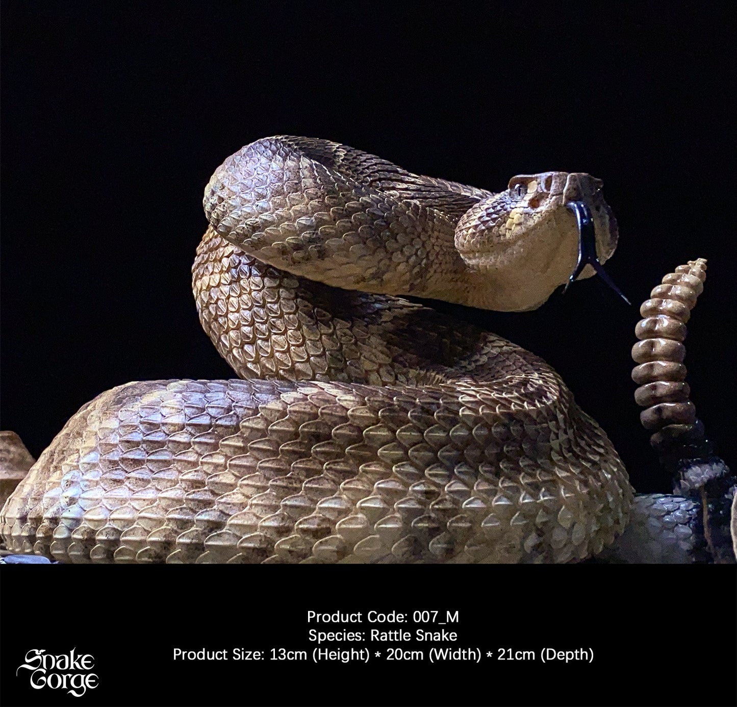 Snakegorge - Western Diamondback Rattlesnake 007_M