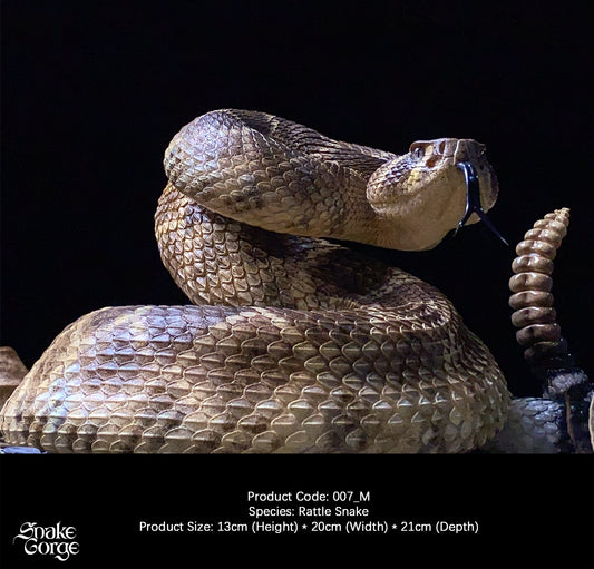 Snakegorge - Western Diamondback Rattlesnake 007_M